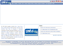 Tablet Screenshot of galvi.com